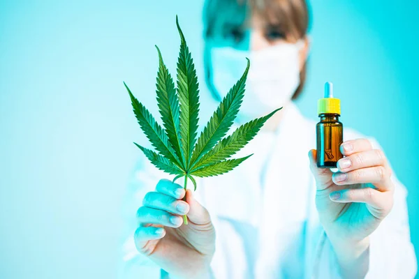 女性科学者の手の中にCBD大麻製品と麻の葉を持つガラステンプレート瓶、閉じます。医療用マリファナ — ストック写真