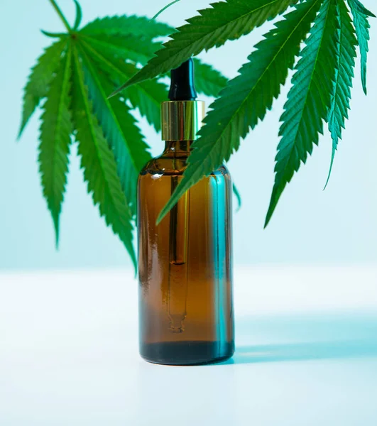 Glasburk med CBD cannabisprodukt med hampblad i neonljus, närbild — Stockfoto