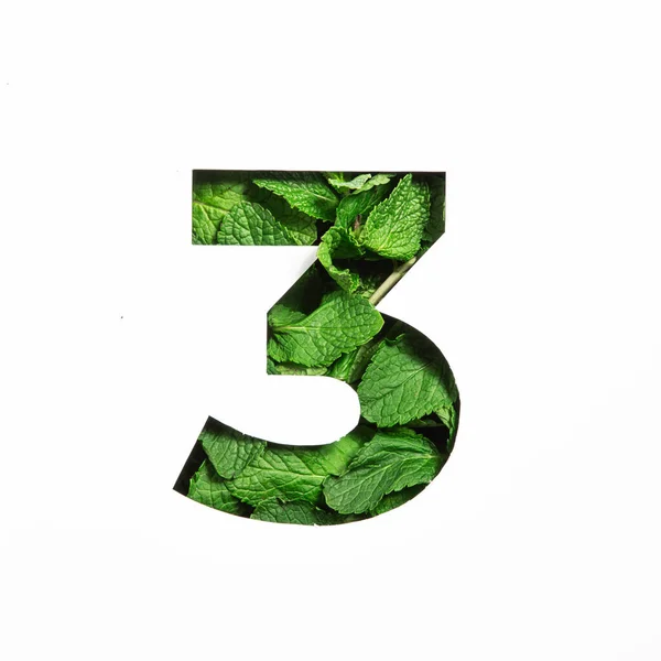 Numer trzy z zielonych liści mięty naturalnej i papieru pocięte w kształcie trzeciej cyfry izolowane na białym. Zawartość liści — Zdjęcie stockowe