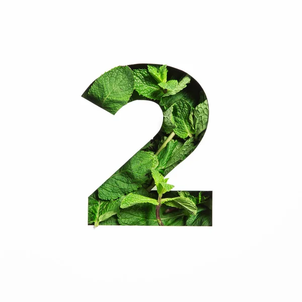 Groene munt nummer twee gemaakt van natuurlijke bladeren en papier gesneden in de vorm van tweede cijfer geïsoleerd op wit. Bladeren lettertype — Stockfoto