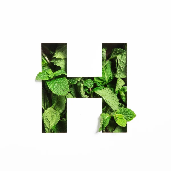 Bokstaven H i engelskt alfabet av gröna mynta naturliga blad och skära papper isolerad på vitt. Blad teckensnitt för dekoration — Stockfoto