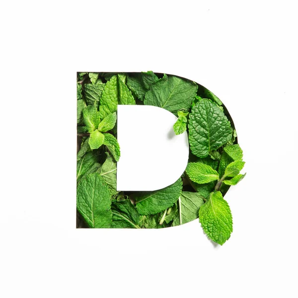 Bokstav D i engelskt alfabet av gröna mynta naturliga blad och skära papper isolerad på vitt. Blad teckensnitt för dekoration — Stockfoto