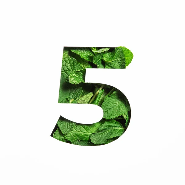Numer pięć z zielonych liści mięty naturalnej i papieru pocięte w kształcie piątej cyfry izolowane na białym. Zawartość liści — Zdjęcie stockowe