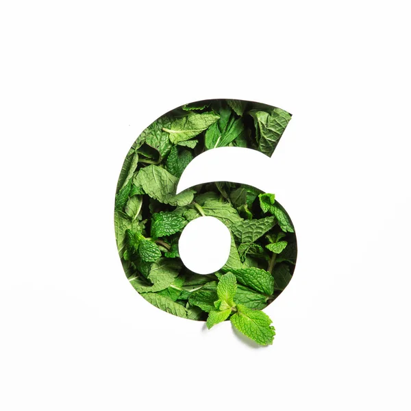 Nummer sechs aus grünen Minzblättern und Papier in Form der sechsten Ziffer isoliert auf weiß geschnitten. Schriftart Blätter — Stockfoto