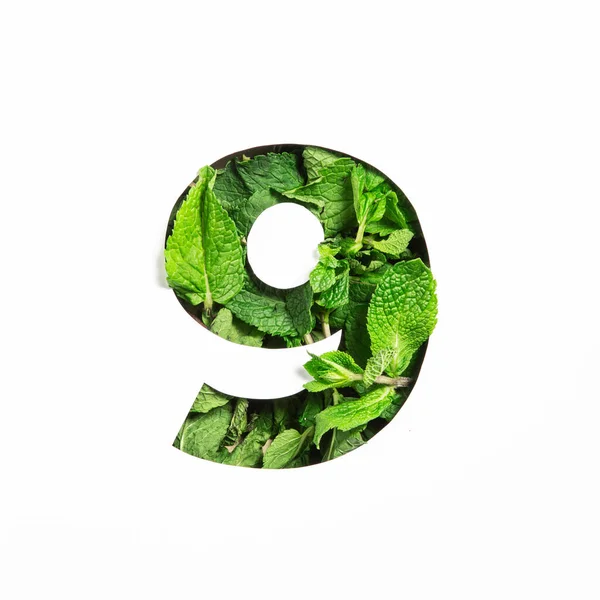 Зеленая мята номер девять из натуральных листьев и бумаги, вырезанной в форме девятой цифры, изолированной на белом. Шрифт листьев — стоковое фото
