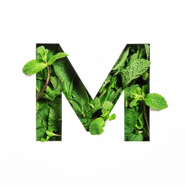 Kirjain M Englanti aakkoset vihreä minttu luonnon lehtiä ja leikattu paperi eristetty valkoinen. Lehdet fontti koristeluun — kuvapankkivalokuva