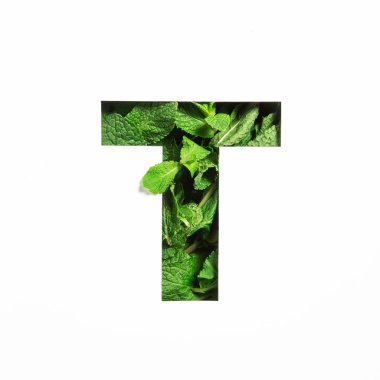 İngiliz alfabesinin T harfi yeşil nane yaprağı ve beyaz üzerine izole edilmiş kağıt. Dekorasyon için yazı tipi bırakır