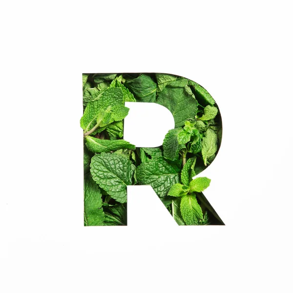 녹색 박하 자연 잎으로 이루어진 영어 알파벳 R 을 흰색으로 잘라 낸다. 장식용 나뭇잎 서체 — 스톡 사진