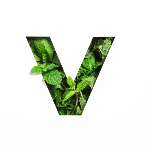Letra V del alfabeto inglés de menta verde hoja natural y papel cortado aislado en blanco. Peppermint leaves fuente —  Fotos de Stock