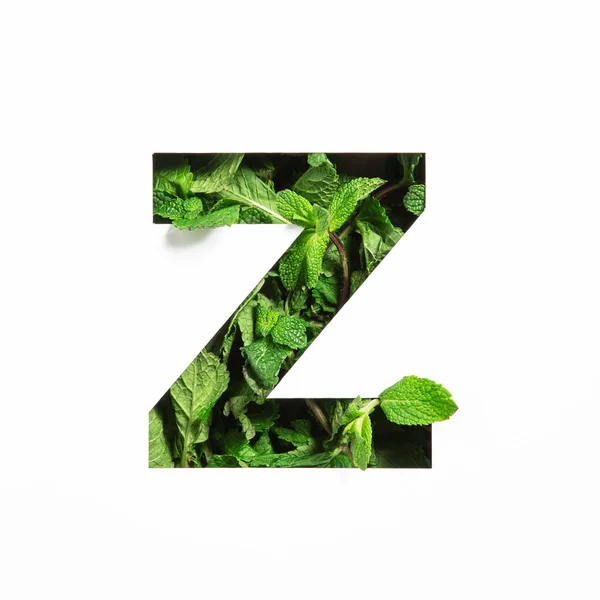Carta Z do alfabeto inglês de folhas naturais de hortelã verde e papel cortado isolado sobre branco. Folhas fonte para decoração — Fotografia de Stock