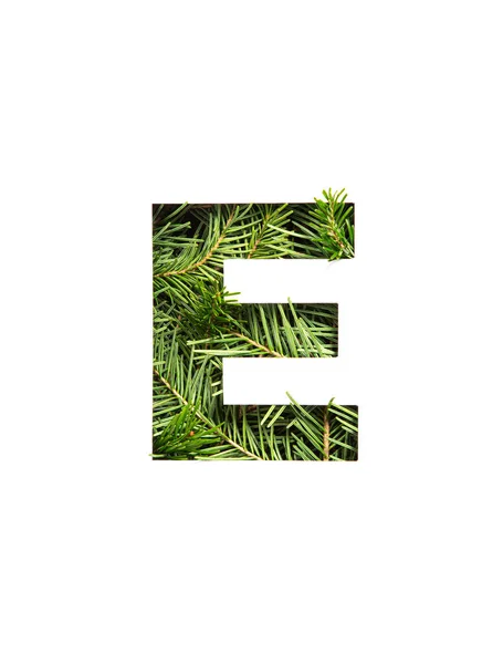 Huruf E dari abjad Inggris yang terbuat dari jarum cemara dan potongan kertas yang diisolasi dengan warna putih. Jenis huruf Xmas fir — Stok Foto