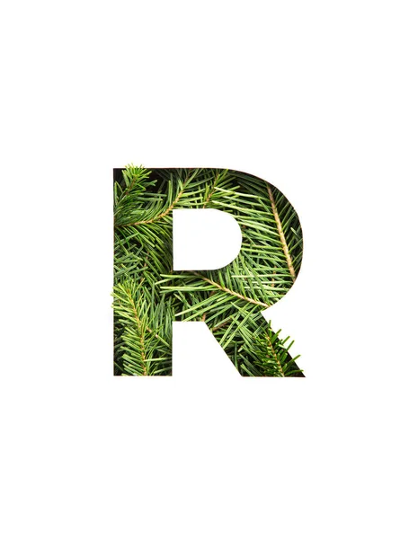 흰색으로 자른 상록 가문비나무 바늘과 종이로 이루어진 영어 알파벳 R 을 쓴다. 전나무 가지 모양 의장면 — 스톡 사진