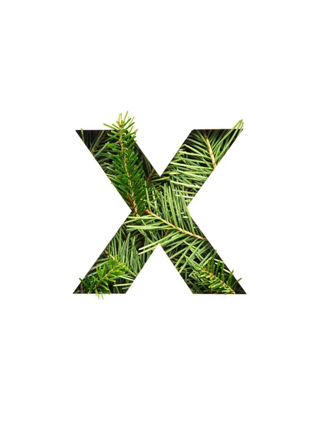 Buchstabe X des englischen Alphabets aus natürlichen immergrünen Fichtennadeln und Papier isoliert auf weiß geschnitten. Schrift der Tanne — Stockfoto
