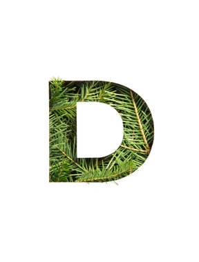 İngiliz alfabesinin D harfi, beyaza izole edilmiş ladin ağacı iğneleri ve kağıt kesikleri. Köknar yazı tipi