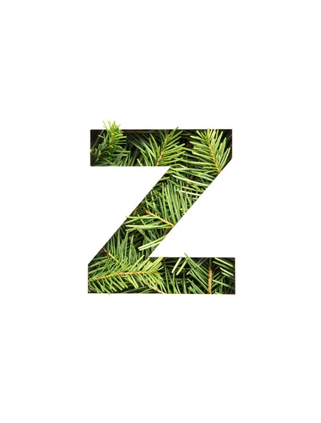 Carta Z do alfabeto inglês de agulhas de abeto perene natural e corte de papel isolado em branco. Tipografia do abeto — Fotografia de Stock