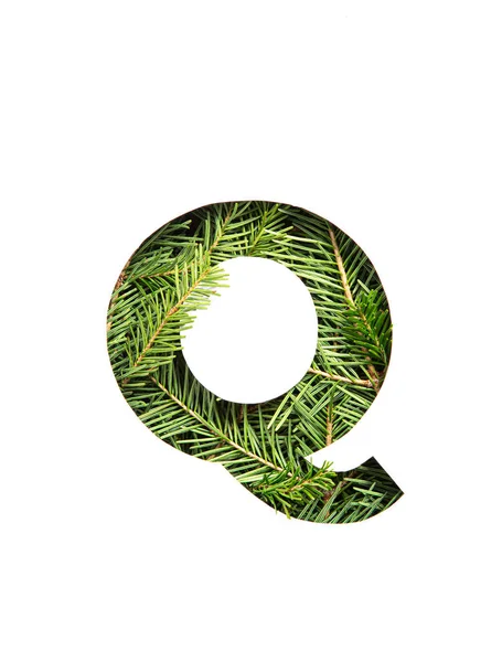 Písmeno Q anglické abecedy z věčně zelených smrkových jehličí a papírových řezů izolovaných na bílém. Vánoční písmo jedlových větviček — Stock fotografie