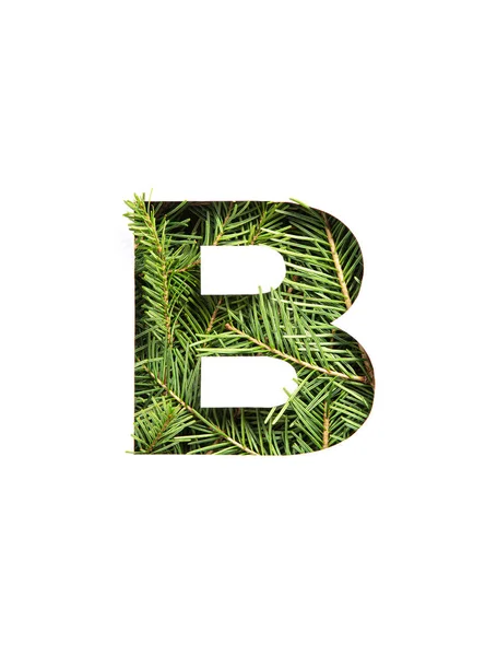 Grüner Buchstabe B des englischen Alphabets aus natürlichen Fichtennadeln und isoliert auf weiß geschnittenem Papier. Tannenzapfen — Stockfoto