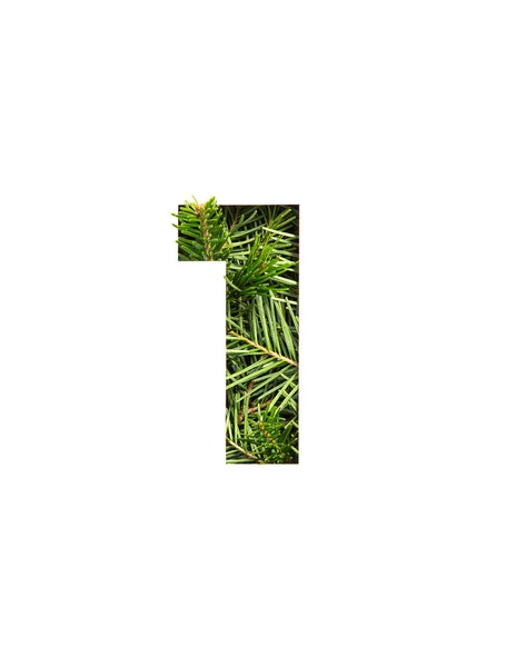 天然云杉树的绿色一号和纸的切割成在白色上隔离的第一个数字的形状。杉木的圣诞字体 — 图库照片