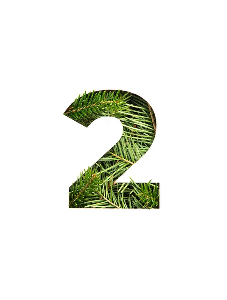 Nummer twee van sparren boom en papier gesneden in de vorm van tweede cijfer geïsoleerd op wit. Lettertype van fir twigs — Stockfoto