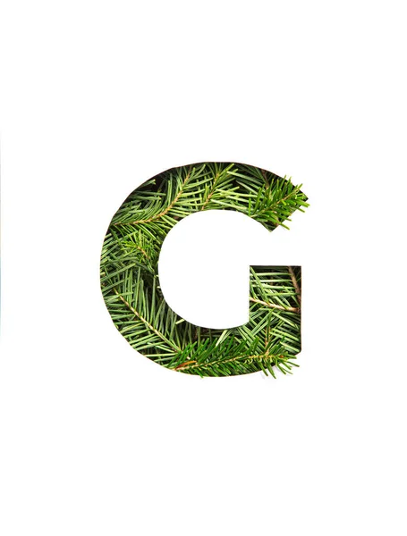 Buchstabe G des englischen Alphabets aus natürlichen immergrünen Fichtennadeln und Papier isoliert auf weiß geschnitten. Texturierte Tanne — Stockfoto