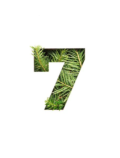 Zelené číslo sedm ze smrkového vánočního stromu, papír ve tvaru sedmého číslice izolovaného na bílém. Písmo jedlových větviček — Stock fotografie