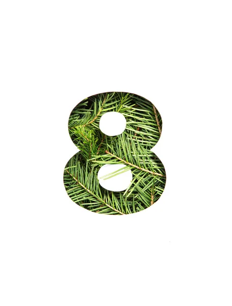 Nummer acht des immergrünen Fichte-Weihnachtsbaums, Papier in Form einer achten Ziffer isoliert auf weiß geschnitten. Schrift der Tanne — Stockfoto
