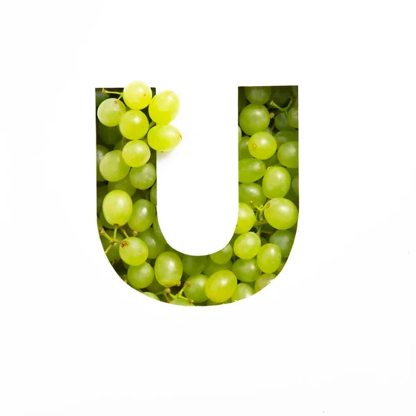 Letter U of English alphabet of green grape and cut paper isolated on white. Natural festive typeface of fresh berries — Stock Photo, Image