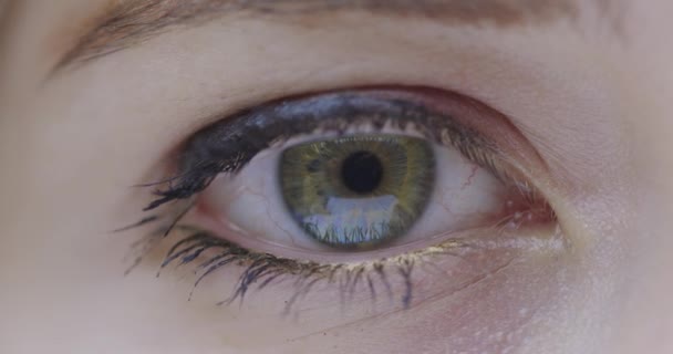 Закройте женский зеленый глаз в хрусталике с красными кровеносными сосудами, моргающими и смотрящими в камеру. Уход за глазами, синдром сухого глаза — стоковое видео