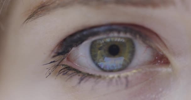 Närbild kvinnliga gröna ögon blinkar och tittar på kameran. Synvård och synkorrigering med linskoncept — Stockvideo