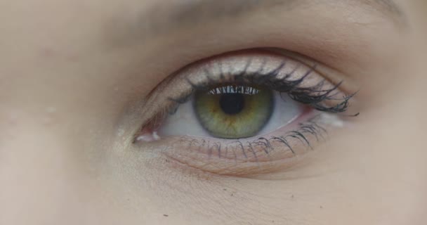 Közelkép a női szem gyönyörű színes írisz és hosszú szempillák. Egészséges látás koncepció. Elölnézet makró videó — Stock videók