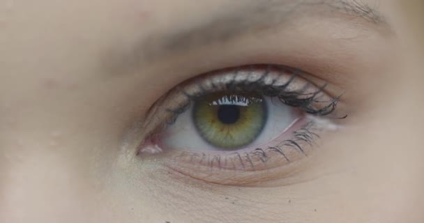Gros plan de l "œil féminin avec iris coloré et longs cils en mascara regardant la caméra, concept de vision saine — Video