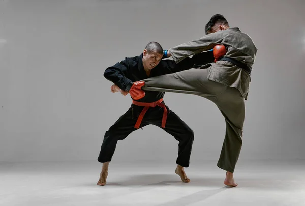 Fighting guys during mixed fight workout. Athletic males in kimono and boxing gloves training martial arts technique