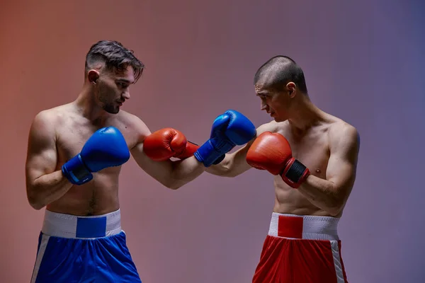 Wrestling of two fighting guys with fit torsos in boxing gloves in red light in studio, martial arts, mixed fight — Stock Photo, Image