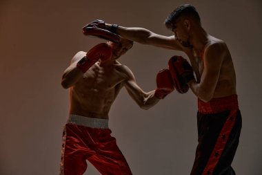 Karışık dövüş antrenmanı sırasında erkeklerle dövüşmek. Boks eldivenli atletik erkekler dövüş sanatları tekniği eğitiyorlar.