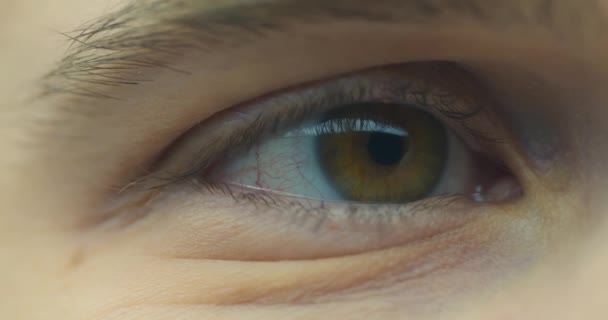Manligt öga med kontaktlins blinkar på nära håll. Mans brun öga makro skjuta. Hälsosam syn, synkorrigering. 4K-video — Stockvideo