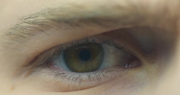 Mies kurtistaa toista silmää piilolinssillä ja ruskealla värikalvolla, lähikuva. Visio terveys, näön korjaus käsite. 4K-video — kuvapankkivideo