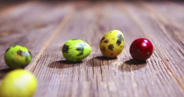 Easter quail eggs roll on wooden background, funny springtime tradition on religious holiday — Stock Video