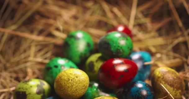 Primer plano de vídeo de huevos de codorniz de Pascua en paja, hembra a mano poniendo huevo festivo pintado en un montón de heno — Vídeo de stock