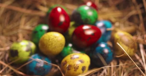 Vidéo en gros plan d'oeufs tachetés de caille de Pâques sur de la paille, femelle mettant à la main des oeufs de fête peints sur tas de foin — Video