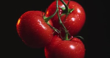 Su damlalarını, sebzeleri, vitaminleri ve sağlıklı beslenme konseptini kapsayan biyoorganik domateslerin dönüşümlü videosunu kapat