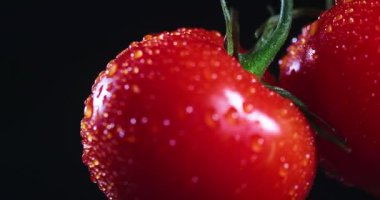Doğal biyoorganik domateslerin su damlalarını, sebze vitaminlerini ve sağlıklı beslenme konseptini içeren videosunu kapat.