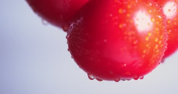 Κοντινό βίντεο με περιστρεφόμενες φυσικές βιολογικές ντομάτες με σταγόνες νερού, βιταμίνες λαχανικών, έννοια υγιεινής διατροφής — Αρχείο Βίντεο
