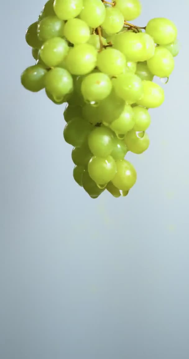 Vídeo vertical. Uvas naturales cubiertas de gotas de agua. Vitaminas. Elaboración de vinos y viticultura. Espacio de copia — Vídeo de stock