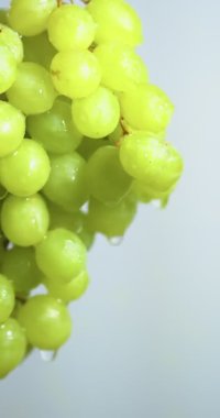 Dikey video. Doğal üzümler, su damlaları, meyve vitaminleri, sağlıklı beslenme konsepti. Şarap yapımı ve eklem kültürü