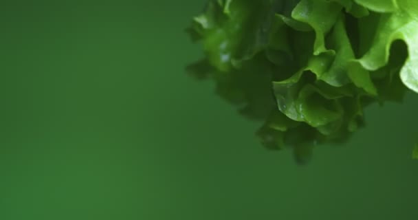 Greenery folhas de alface rotativa no fundo verde. Vitaminas saudável dieta conceito. Fecha o vídeo. Espaço de cópia — Vídeo de Stock