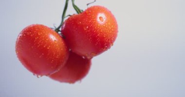 Dönüşümlü domateslerin su damlalarını kapatın. Sebze vitaminleri, sağlıklı beslenme konsepti. Boşluğu kopyala