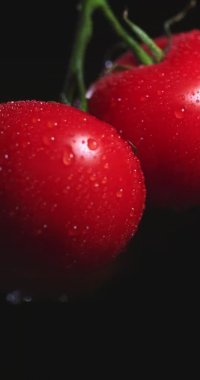 Dikey video. Domatesler dönüyor, su damlaları kapanıyor. Siyah stüdyo arka planında doğal sebzeler, vitaminler.