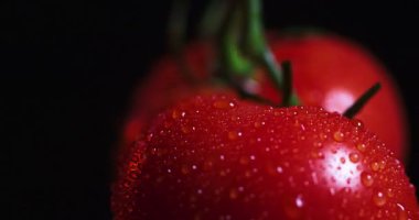 Dönüşümlü organik domatesler su damlalarını kapatıyor. Sebze vitaminleri, sağlıklı beslenme konsepti.