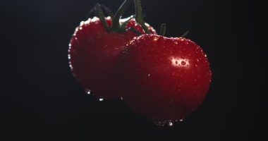 Parlak su damlaları ve sebze vitaminleriyle kaplı biyolojik organik domateslerin dönüşümlü videosunu kapat.