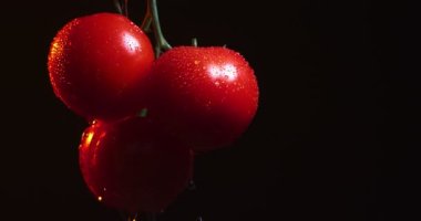 Siyah stüdyo arka planında domateslerin üzerinde akan suyun videosu. Sebze vitaminleri, sağlıklı beslenme konsepti.
